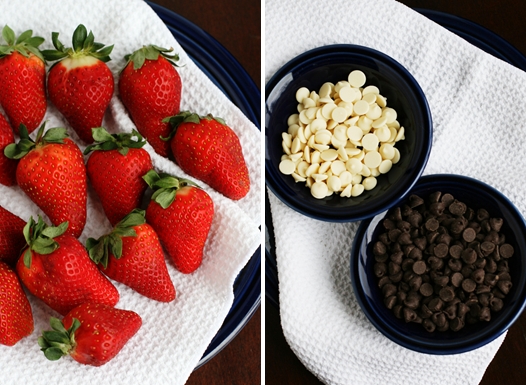 Recipes for chocolate covered fruits