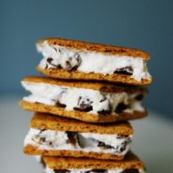 Would you like S’more? Smores Recipe