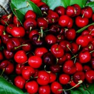 When Life Gives You Cherries: Easy Cherry Jam Recipe