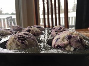 Blueberry Muffin Recipe