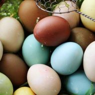 How to Naturally Dye Easter Eggs
